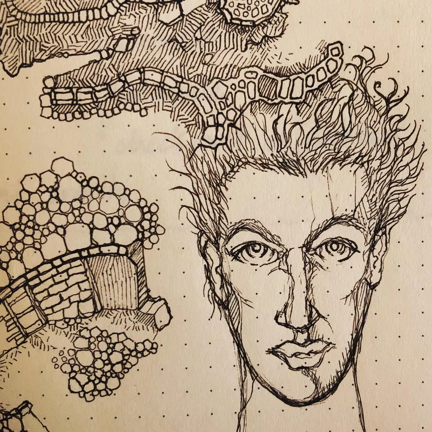 Ink drawing of a face with wild upswept hair, surrounded by bridges and walls built from cells and bubbles.