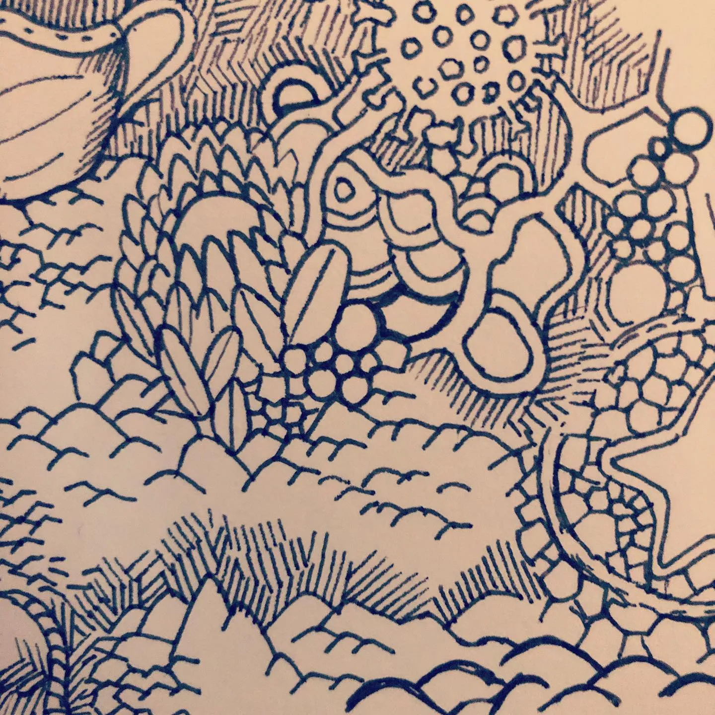 Dense blue ink doodle of overlapping organic shapes: scales, bubbles, clouds and coral-like forms.