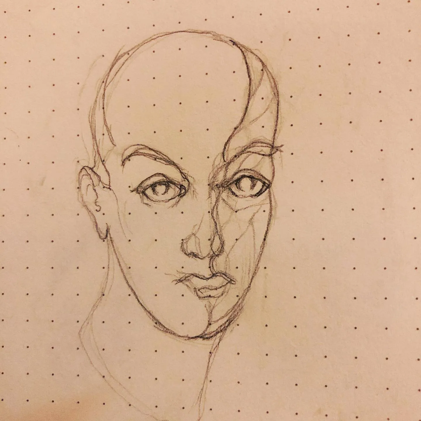 Light pencil sketch of a bald head facing forward, with the construction lines of the face still showing.