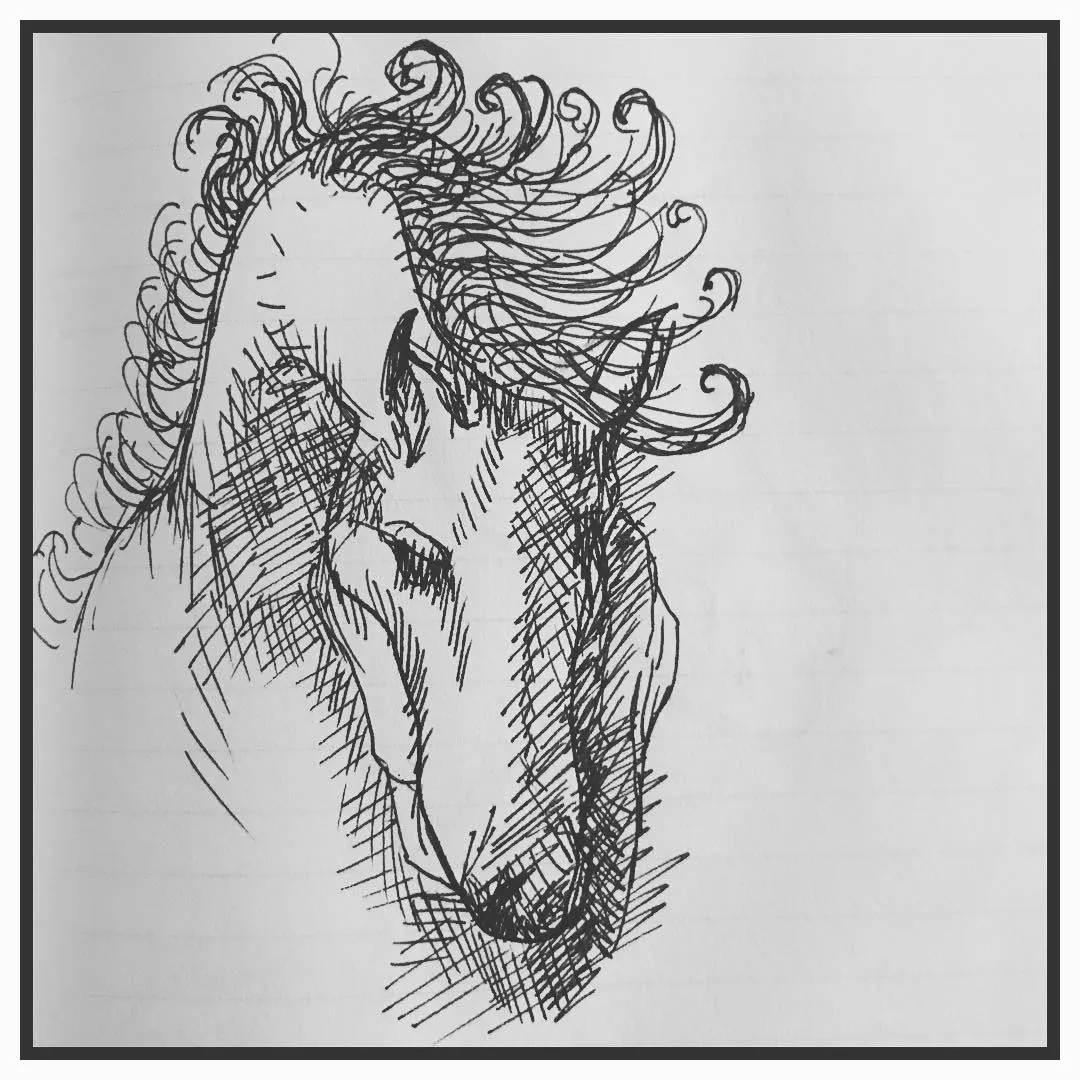 Ink line drawing of a horse's head bowed low, with a wild curly mane and dense cross-hatching.