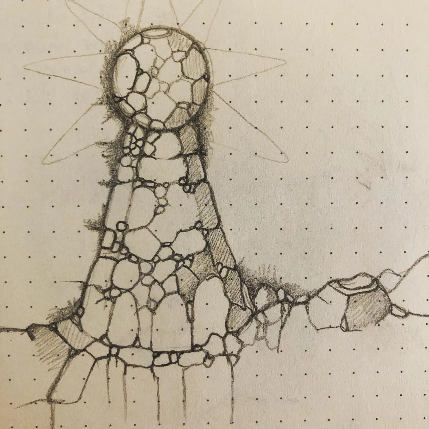 Ink and pencil drawing of a tall tower made of irregular cells, topped with a sphere that radiates thin lines, spreading roots at its base.