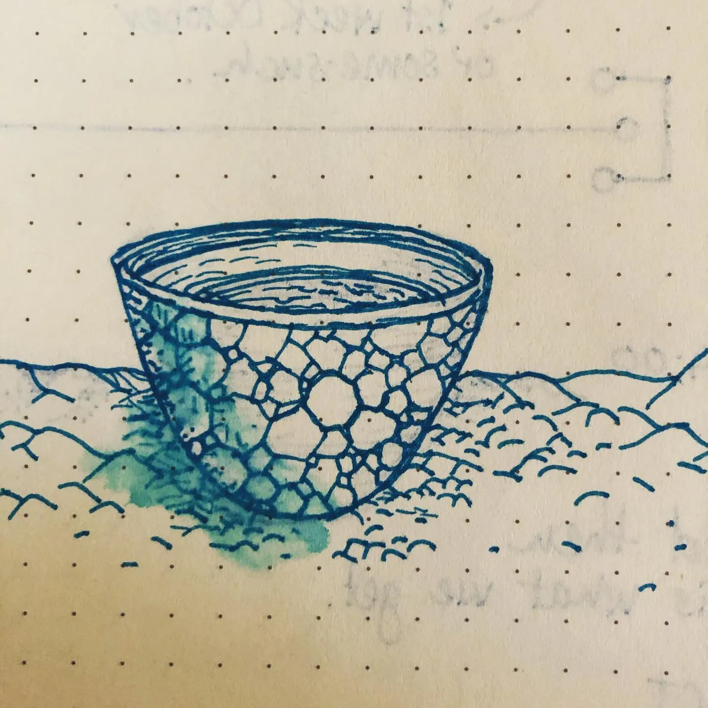 Ink drawing of a bowl patterned with hexagonal cells, sitting on wavy ground, with a teal ink wash spilling from one side.