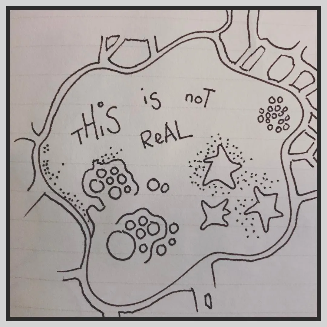Ink doodle of a blob-shaped island with the words "this is not real" written inside, surrounded by stars, dotted circles and cell-like shapes.