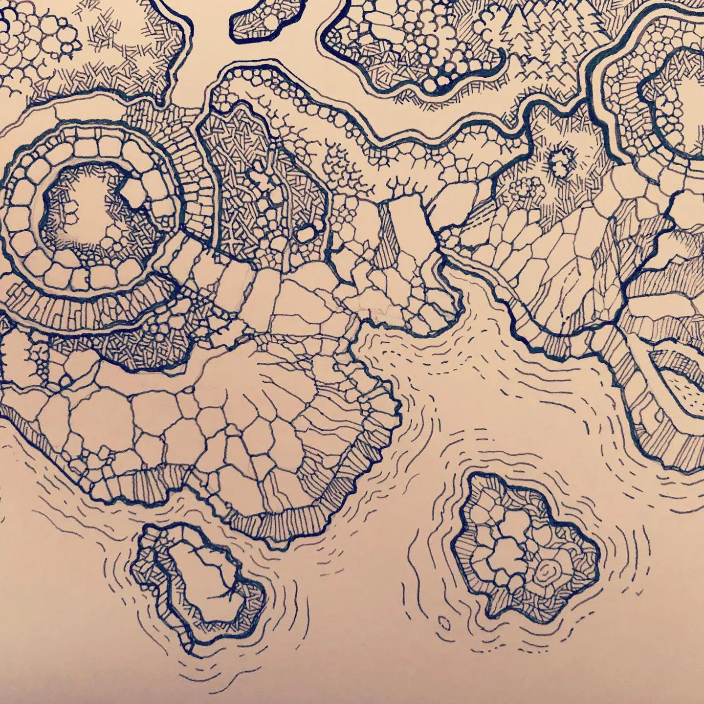 Blue ink fantasy map of islands and coastlines, the land filled with cell-like patterns and ripples around the shores.