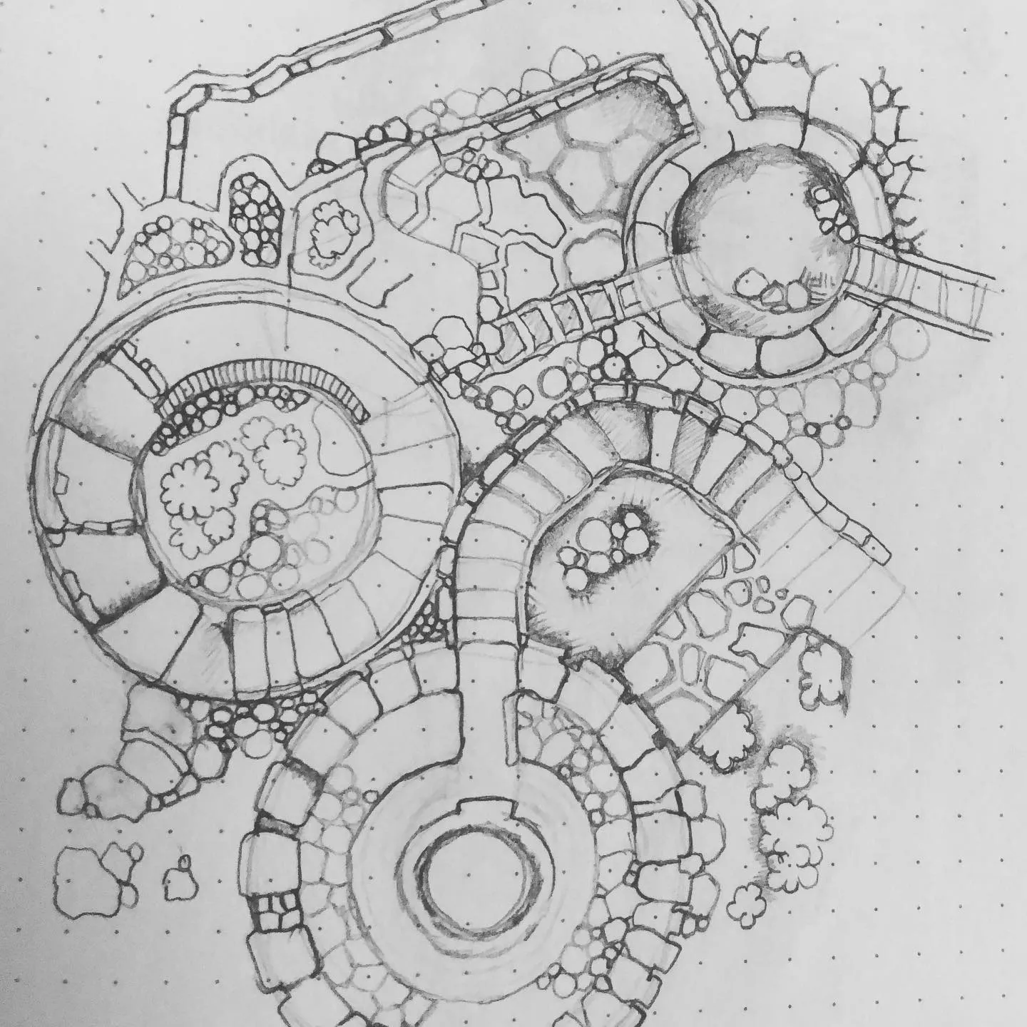 Ink drawing on dotted paper of a map-like structure of round chambers, bridges and paths built from cells and bubbles.