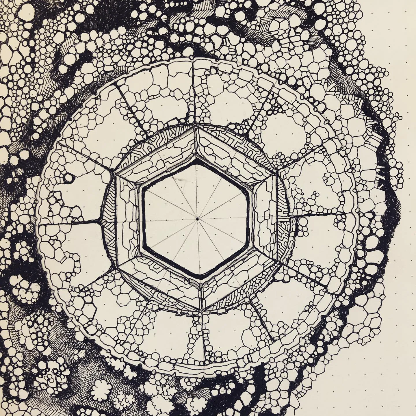 Black ink drawing of a hexagon at the centre of concentric rings, surrounded by a dense field of bubbles and cells.