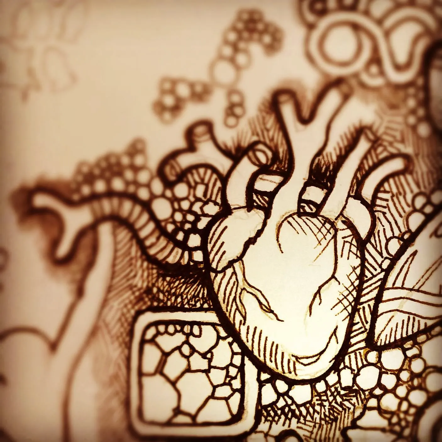 Sepia ink drawing of an anatomical heart surrounded by bubbles, cells and swirling patterns.
