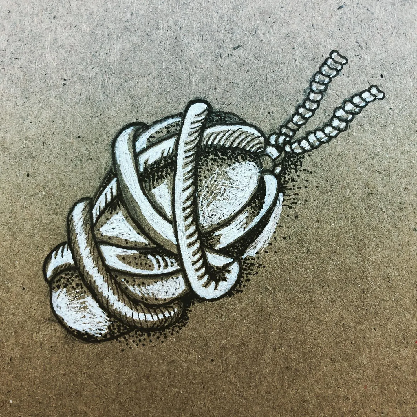 Ink and white pen drawing of a tight knot of rope with two frayed ends, on grey-brown paper.