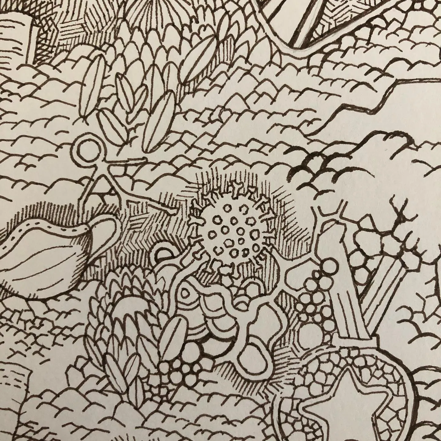 Dense ink doodle filling the page with leaves, scales, bubbles, spiky seed pods and textured clusters.