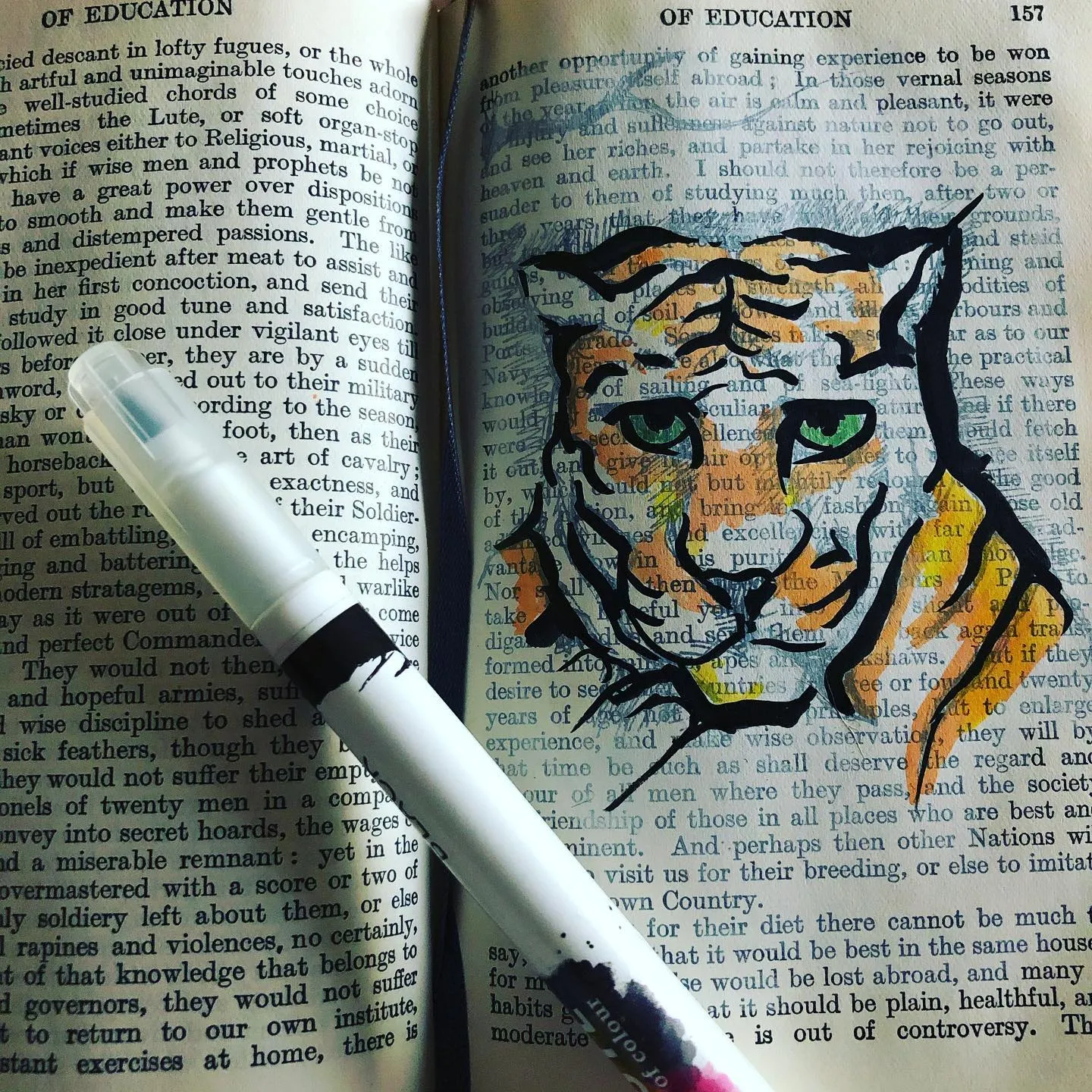 Ink and coloured marker tiger's face, with green eyes, drawn over the page of an old book, a white paint pen lying across it.