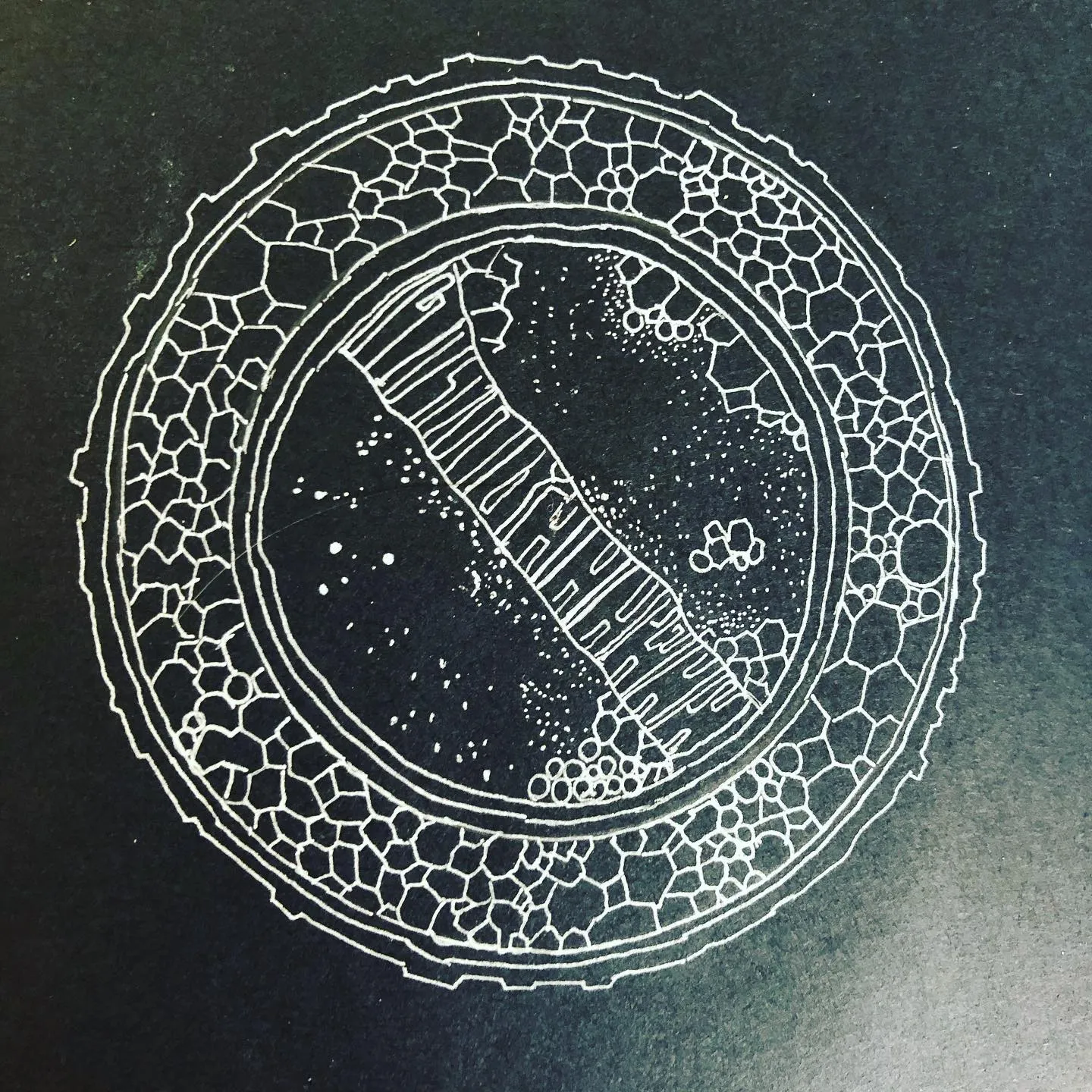 White ink on dark paper: a circular gate made of cells, with a ladder-like bridge crossing its starry centre.