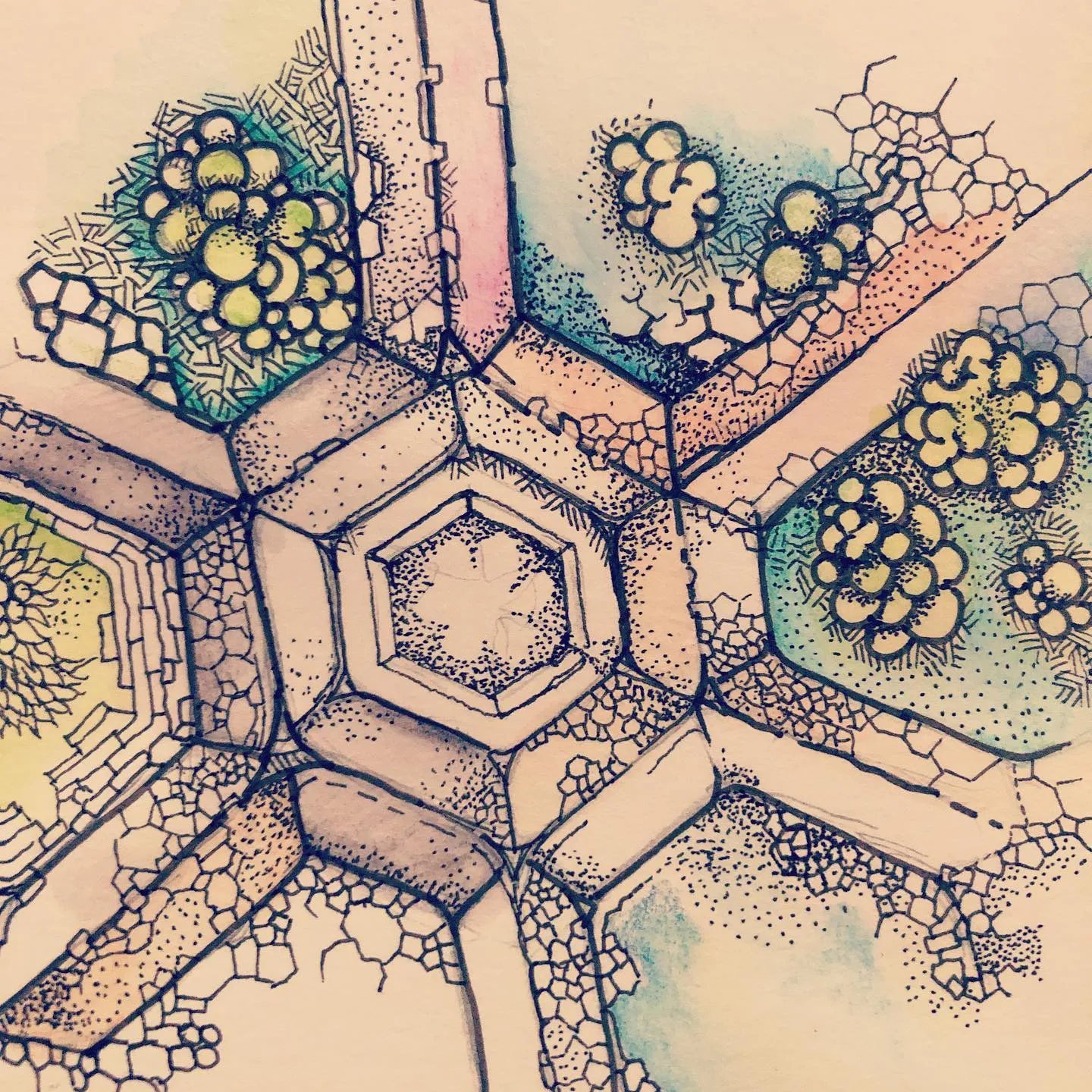 Ink drawing of a hexagonal structure with spokes radiating out, the spaces filled with yellow-green clusters and dotted shading.