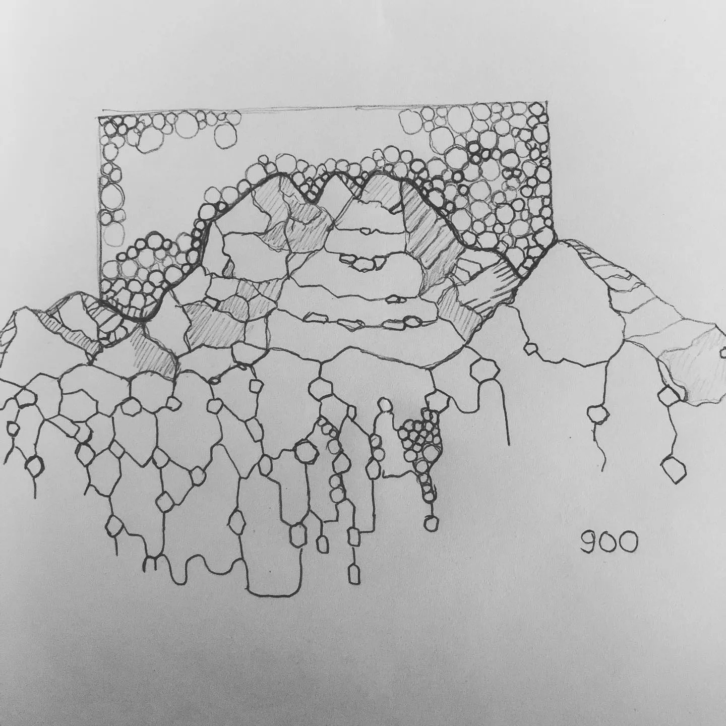 Ink drawing of mountains and cliffs built from cell-like bubbles, with drips hanging below, framed by a band of circles.