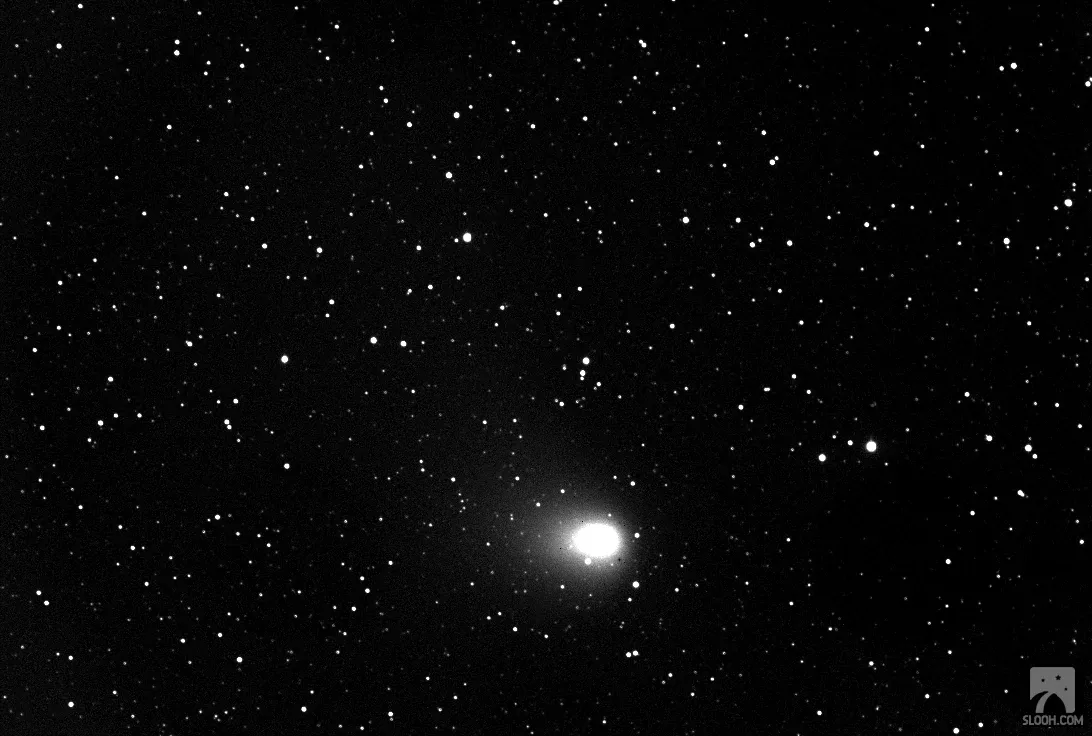 The comet in black and white, a bright head against a field of stars.