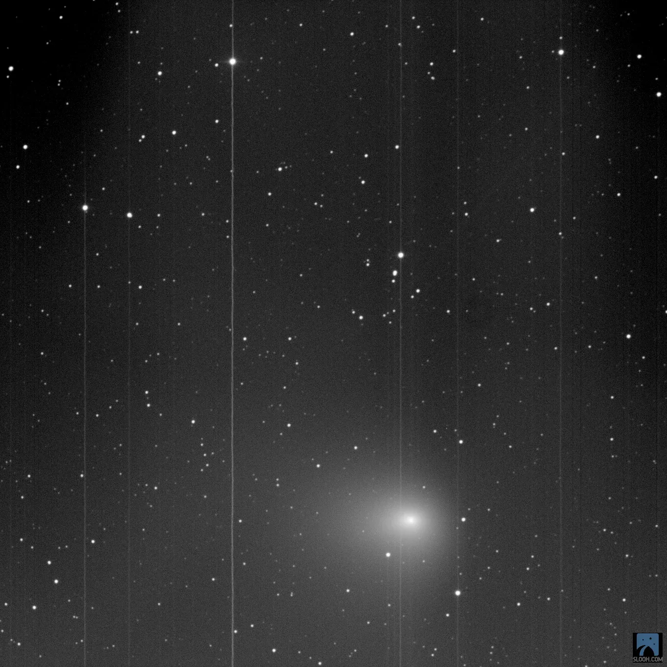 The comet in black and white, a fuzzy glow with faint streaks across the field.