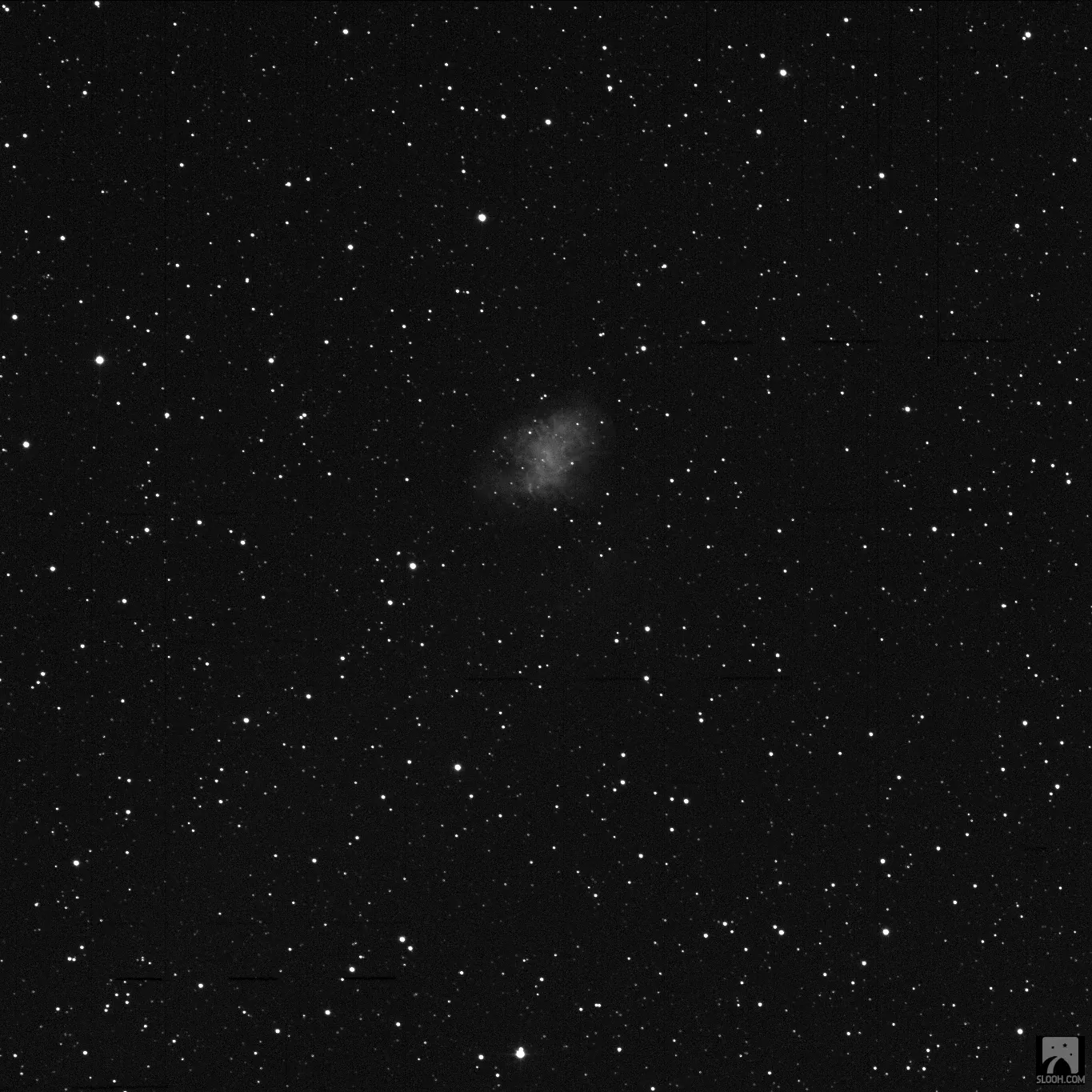 The Crab Nebula in black and white, a faint grey cloud among many stars.
