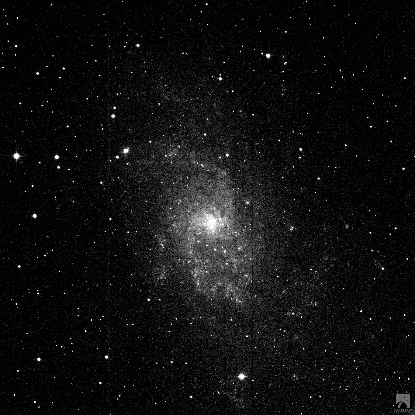 The Triangulum Galaxy (M33), a faint spiral of stars in black and white.