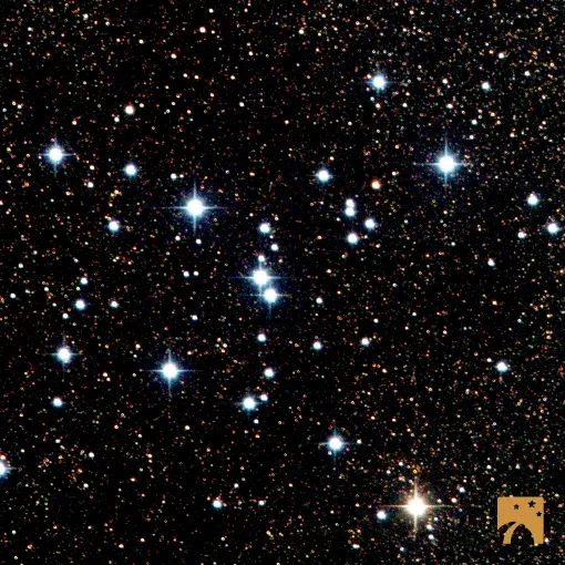 The open cluster M7: bright blue-white stars scattered over a dense field of fainter ones.