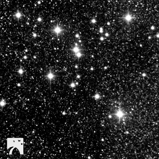 The open cluster M7 in black and white, bright stars across a dense star field.